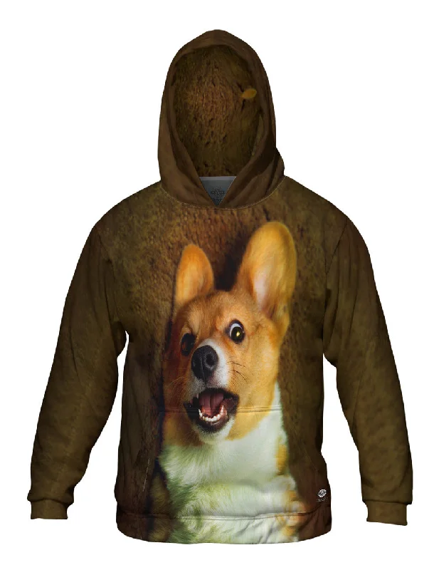 Friends and Family Sale OMG Welsh Corgi