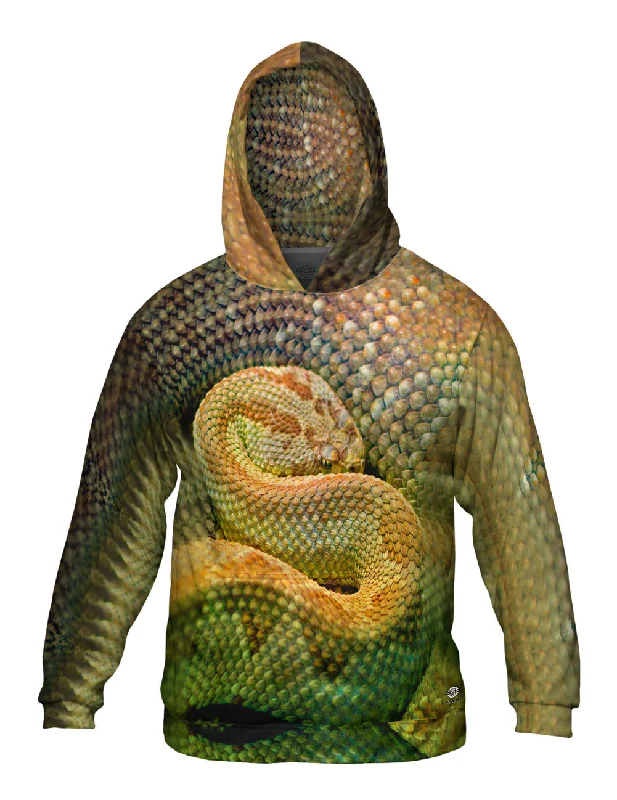 Price Drop Alert Watchful Rattle Snake