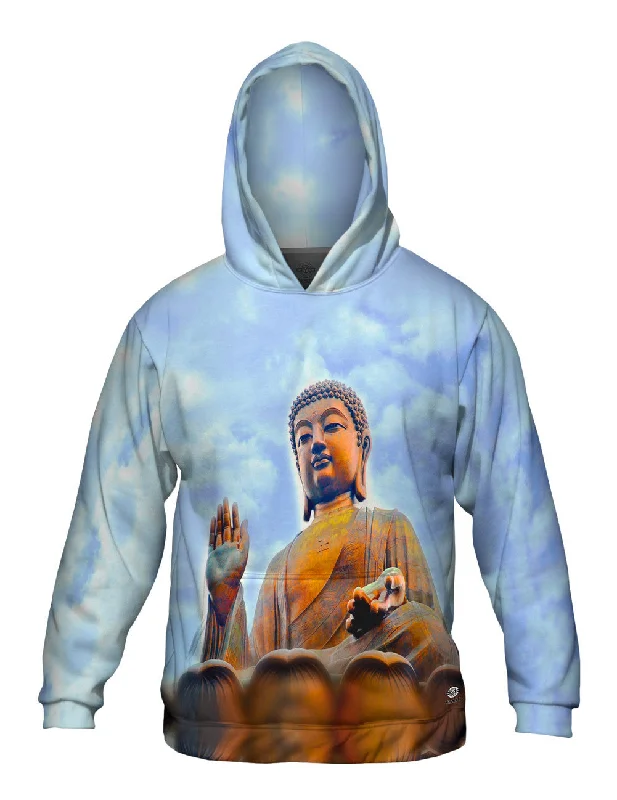 Price Slash Tian Tan Buddha
