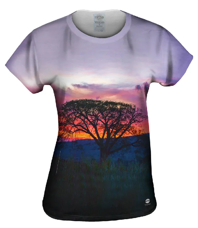 Overstock Clearance Tree In Silhouette At Sunset