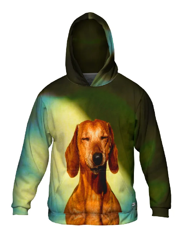 Exclusive Preview Dachshund Smile