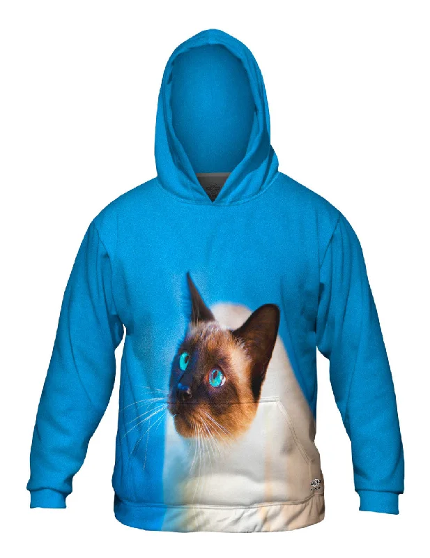 Limited Time Offer Gorgeous Eyes Siamese Cat
