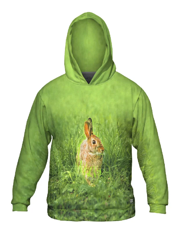 Flash Sale Peter Rabbit