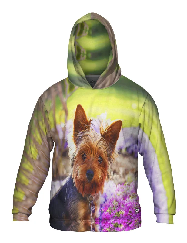 Best Seller Springtime Yorkie