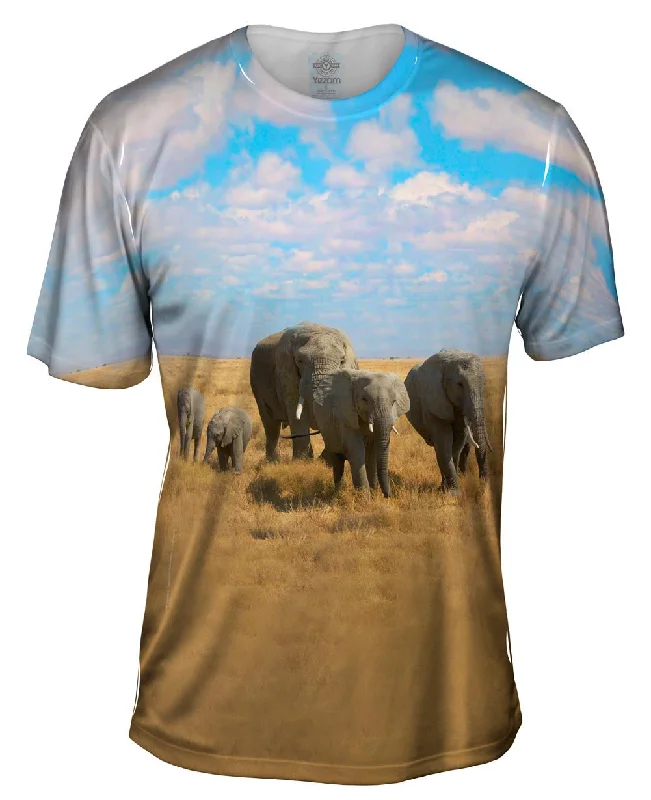Deal Frenzy African Elephant Family