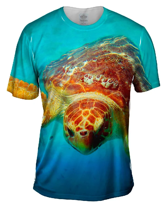 Unbeatable Deal Deep Sea Turtle