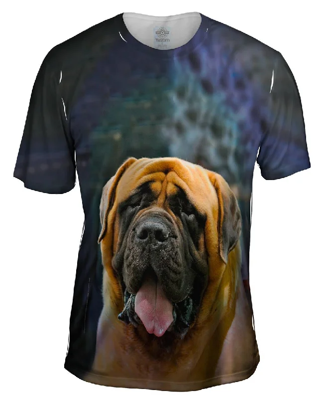 New Markdowns English Mastiff Joy