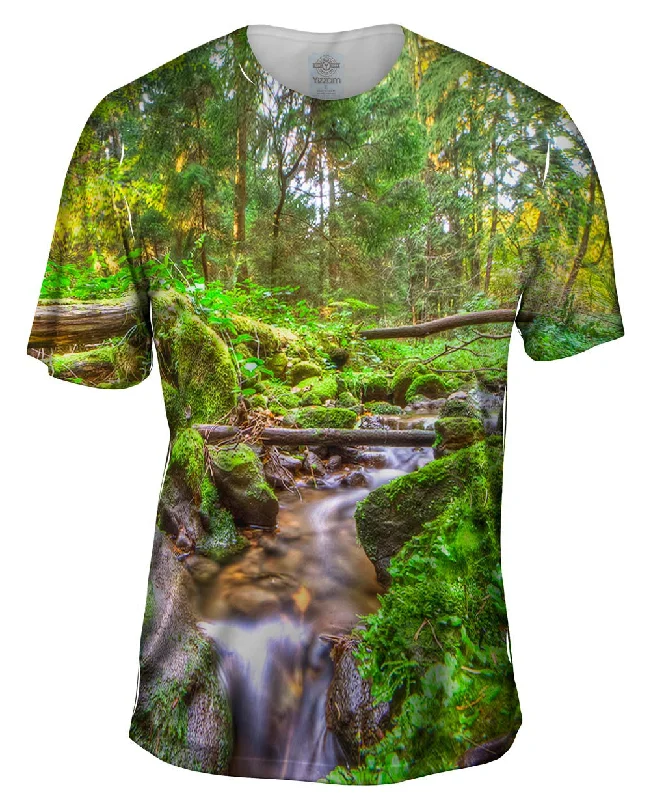 Season Finale Sale Fall Forest