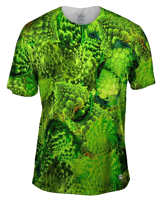 Big Discounts Fractal Broccoli