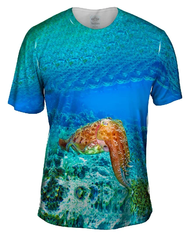 Midnight Sale Indonesia Squid Underwater