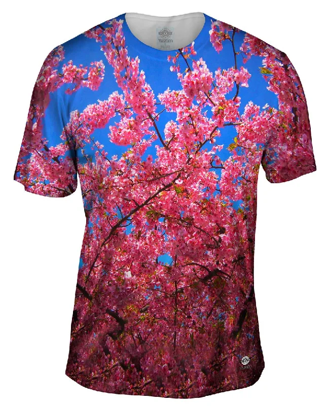 Stock Clearance Japanese Cherry Blossom Blume
