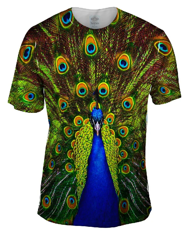 Today's Special Peacock