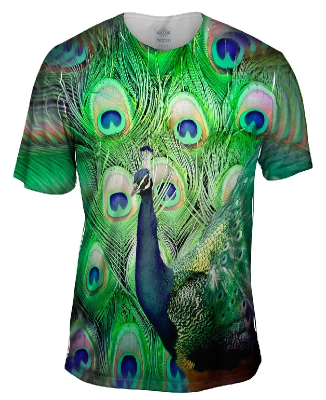 Great Bargain Waller Peacock