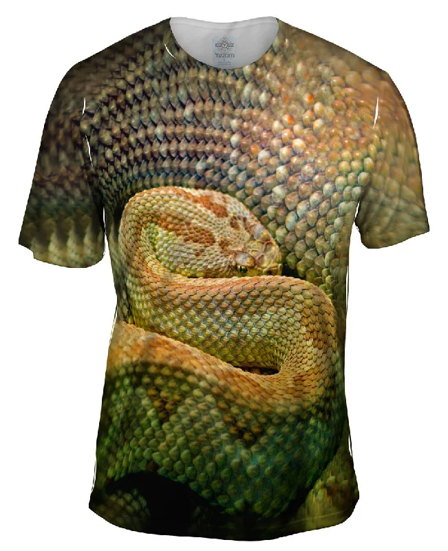Grand Opening Sale Watchful Rattle Snake