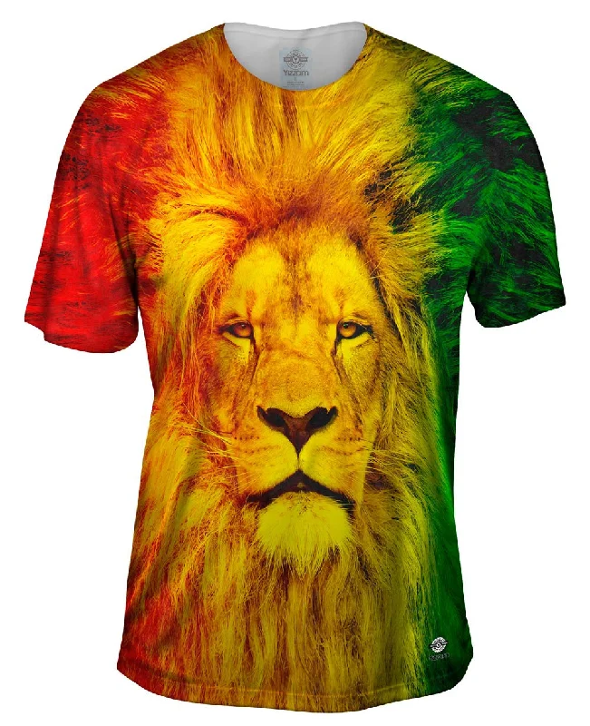 Half Price Zion Lion King
